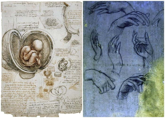白金汉宫展出包括达芬奇的科研及医学绘图。