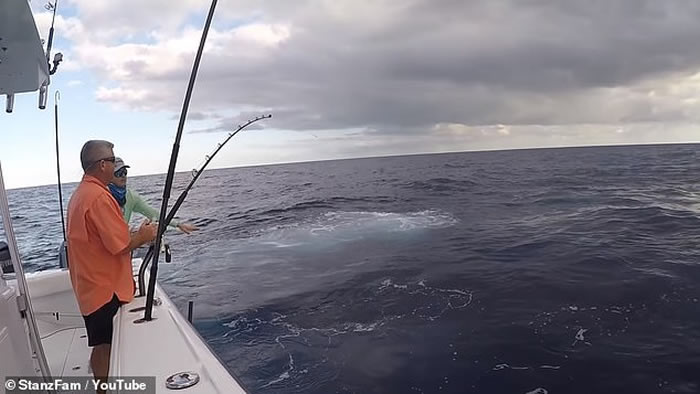 ��������8Сʱ����343������ͽ��� ˢ�·�������ݼ�¼