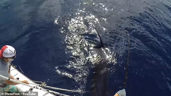 ��������8Сʱ����343������ͽ��� ˢ�·�������ݼ�¼