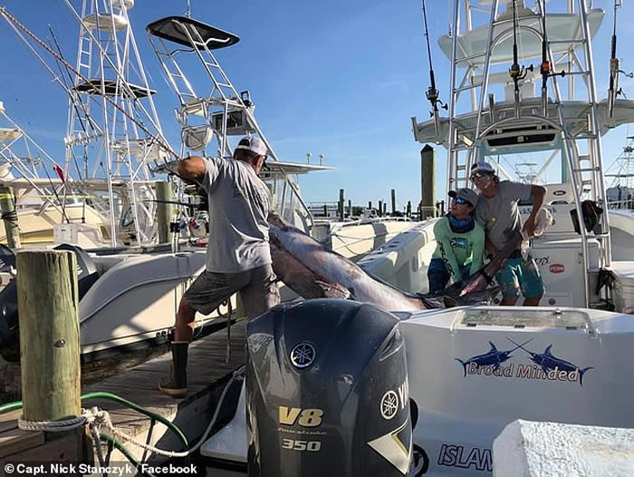 ��������8Сʱ����343������ͽ��� ˢ�·�������ݼ�¼