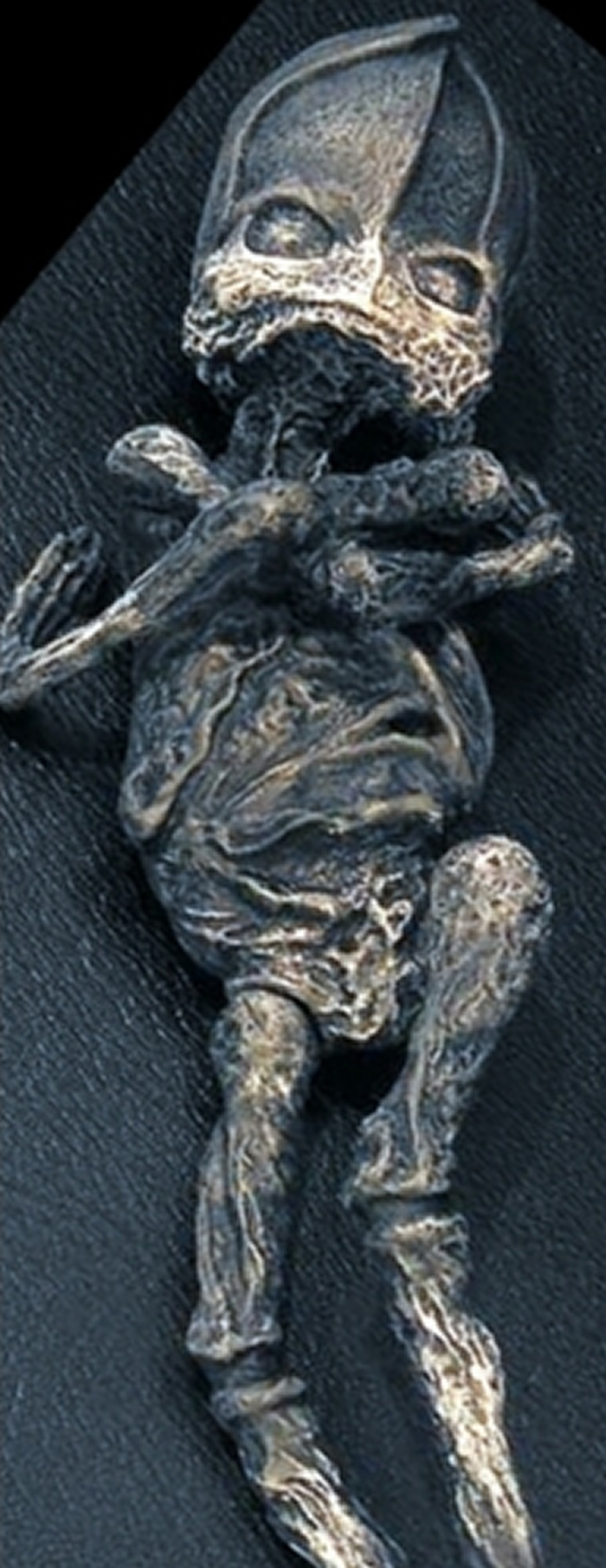 外星人尸体?1996年俄罗斯老奶奶发现的“侏儒小矮人”被证实是核灾难畸形人类婴儿