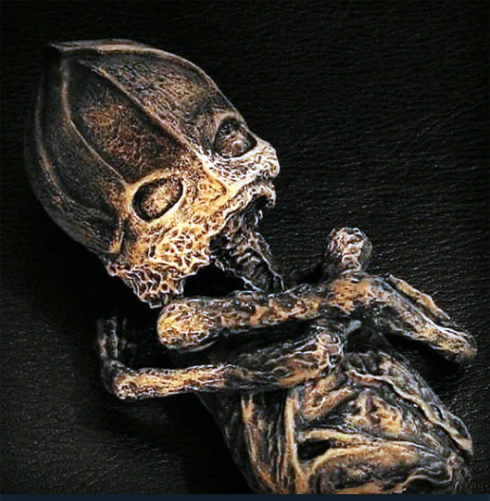 外星人尸体?1996年俄罗斯老奶奶发现的“侏儒小矮人”被证实是核灾难畸形人类婴儿