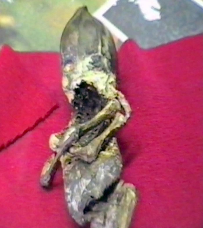 外星人尸体?1996年俄罗斯老奶奶发现的“侏儒小矮人”被证实是核灾难畸形人类婴儿