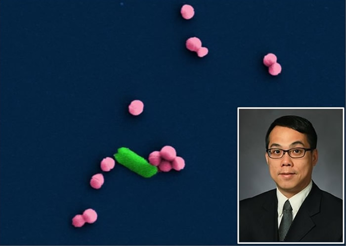 黄柏坚(小图)为香港中文大学机械与自动化工程学系杰出校友。