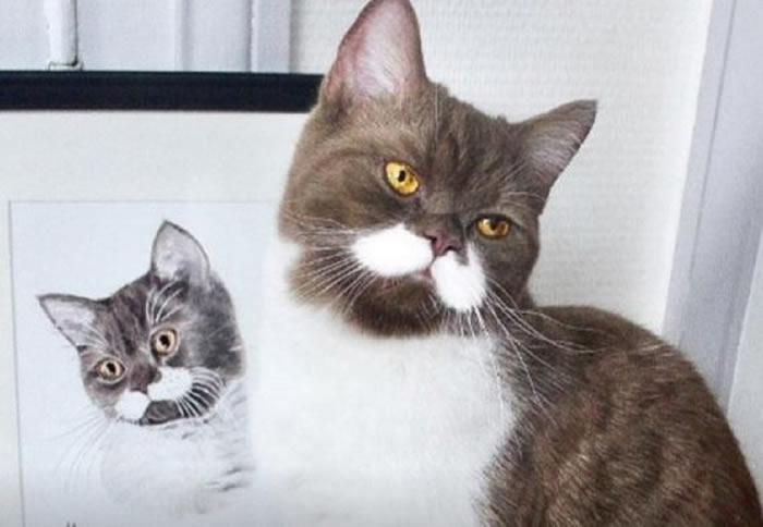 Ŵ̽è䡰ָ硱Ϊ罻ϵ