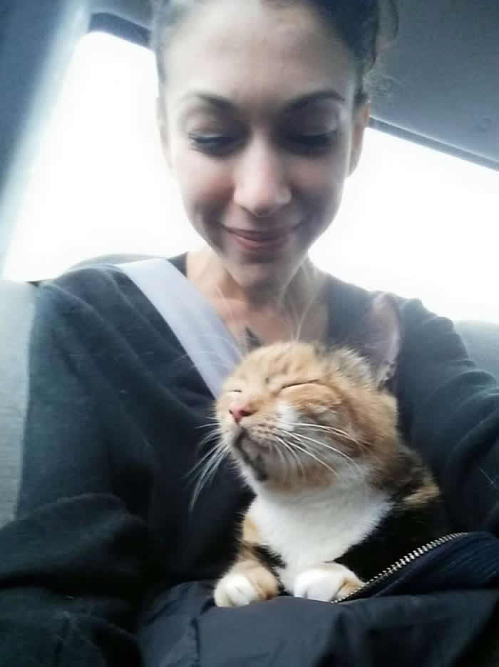 招财猫!美国一只爱躺电脑的小猫误踩“输入键” 助主人获批10万美元补助金