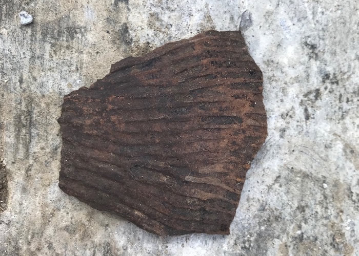 ��ʮ������ַ�������ƵĴ������ա�