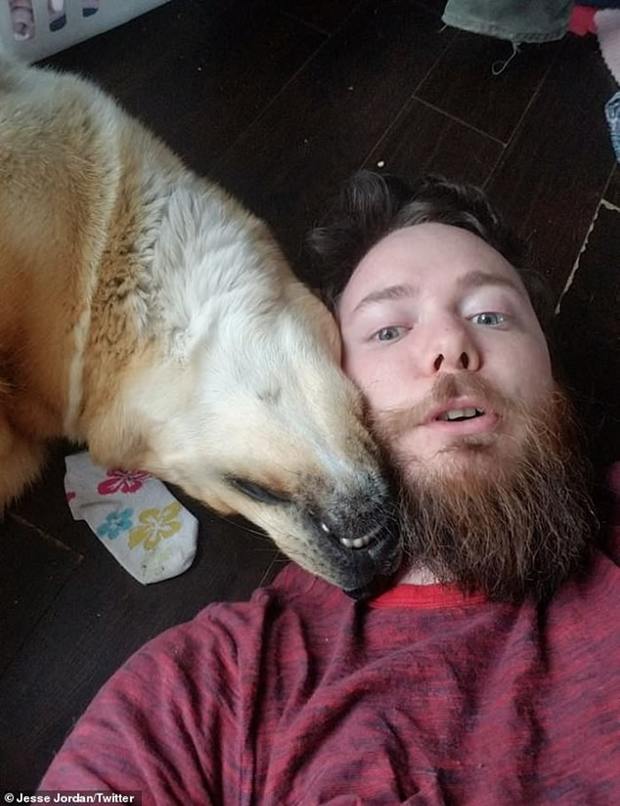 加拿大安大略省傻狗“受贿”咬鹿骨 放黑熊入屋翻垃圾