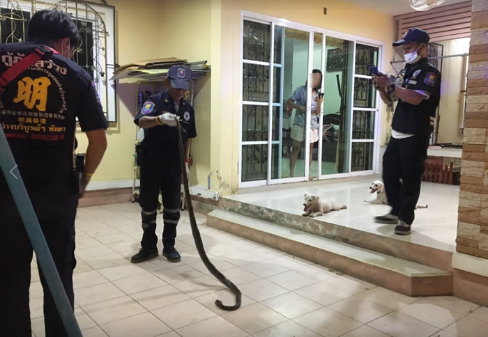 ̩︮Ŵ3ֻȮΪȻҧ2߾