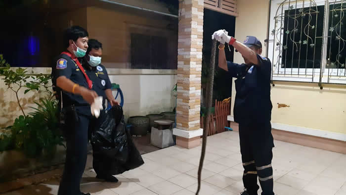 ̩︮Ŵ3ֻȮΪȻҧ2߾