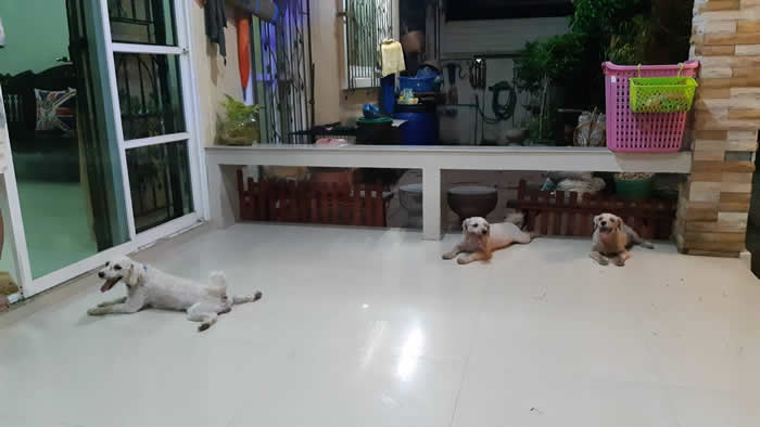 ̩︮Ŵ3ֻȮΪȻҧ2߾