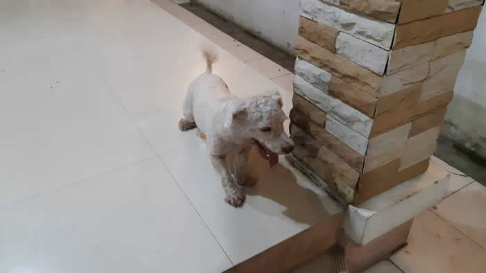 ̩︮Ŵ3ֻȮΪȻҧ2߾