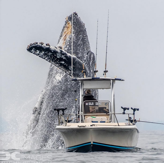 ��Ƶ�����������������岻��˼��һĻ �޴���ͷ��Ծ���洬