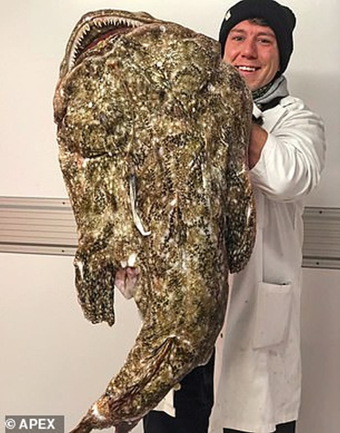 Josh Perkes经常在Twitter和Instagram主页上展示特殊的猎物