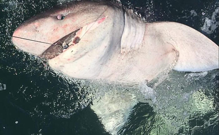 Ӣ����������������Ů�ӵ������صĺ���������