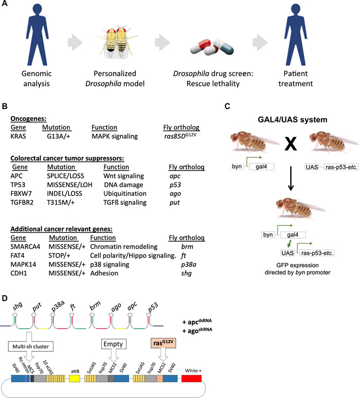 ���Ʒ����ù�Ӭ�����᳦ֱֽ��������