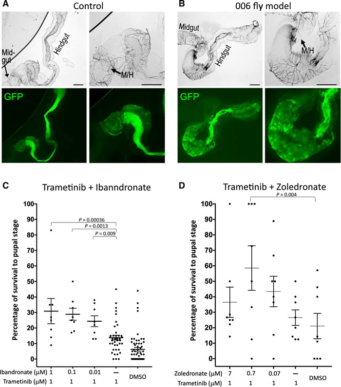 ���Ʒ����ù�Ӭ�����᳦ֱֽ��������