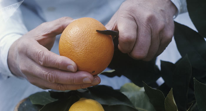 ����ȱ��ά����C����ֵ���Ҫ֢״���˿����Ͻ�����Ƥ������