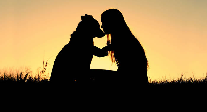 新研究表明人类对狗的爱源于基因