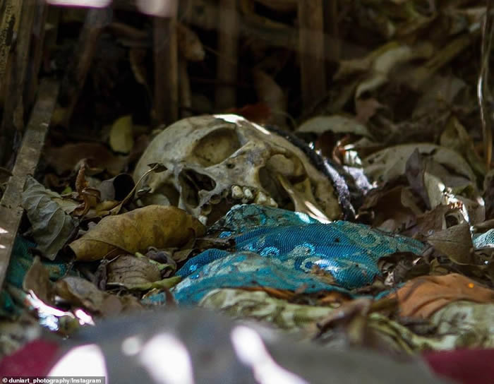 印尼巴厘岛有一处天葬村(Trunyan)