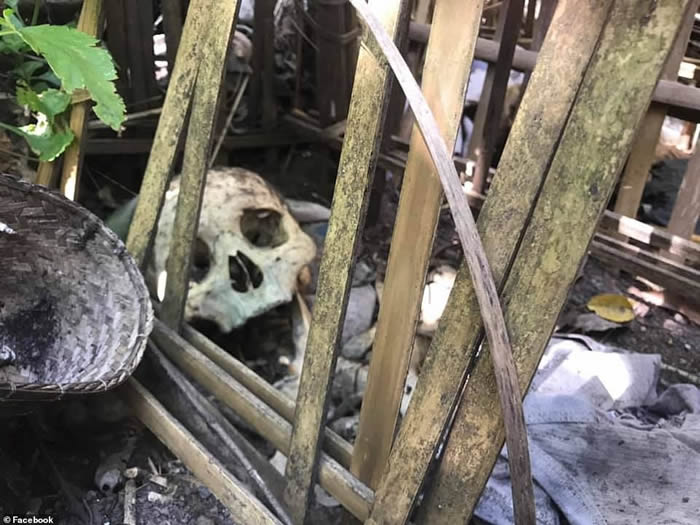 印尼巴厘岛有一处天葬村(Trunyan)