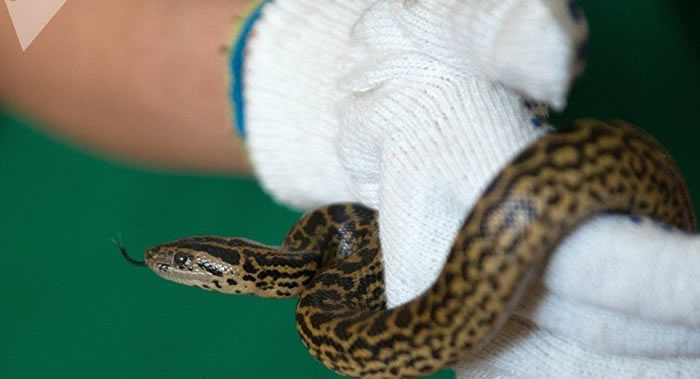 ����ˮ���һ������������û�����Բ��������������˺��