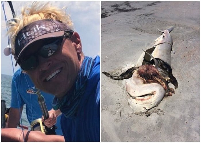 �׹������ͼ�����ָ����������ʸ��Ļ���ʬ����ͼ����