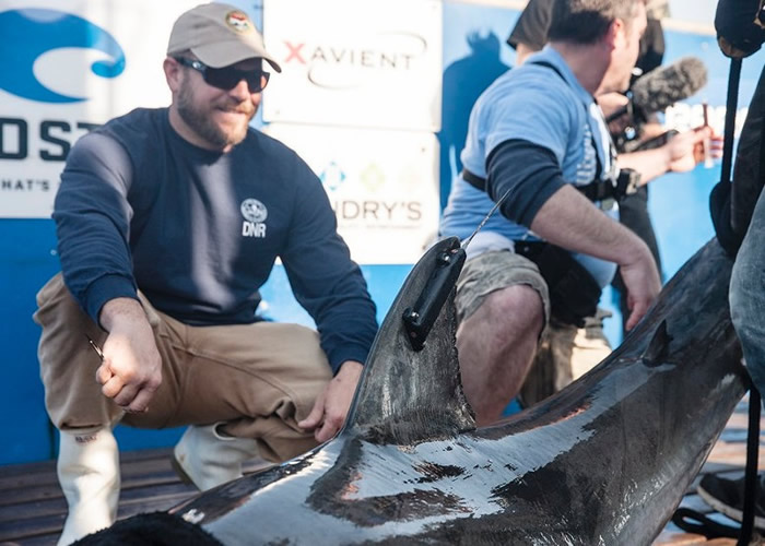 ������ͼ����Ϊ�û����Ǳ��˿����ʸ��������������򦡣