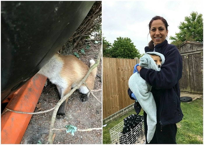 Ӣ���׶�������С�������տ�ס����Ͱ�� ����������̬ʮ��