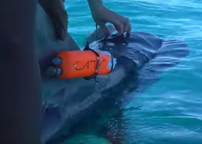 �о�Ա�������ǩ�̶��ڻ���ı����ϡ�