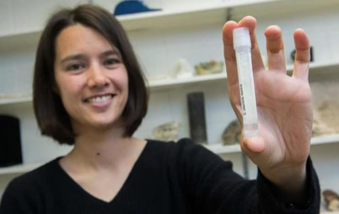 《地球化学与宇宙化学学报》:马尔代夫石灰岩沉积物岩心中获取2万年前的海水