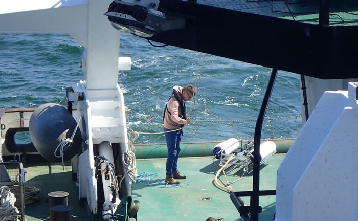 美国《生命科学》杂志:北海发现沉没的早期狩猎者居住地的遗迹