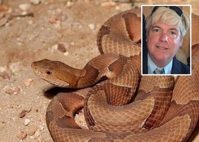 美国亚拉巴马州男子度假被剧毒美洲蝮蛇咬伤 出现过敏休克及心脏停顿不治