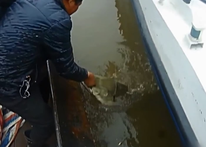 ��������Զ���񲶻��ش�44����ʯ��������