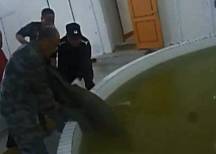 ��������Զ���񲶻��ش�44����ʯ��������