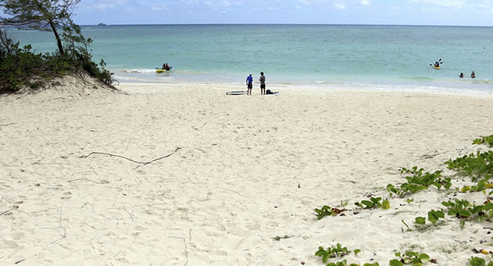 ���������ķ��ֳ����Եļ�����