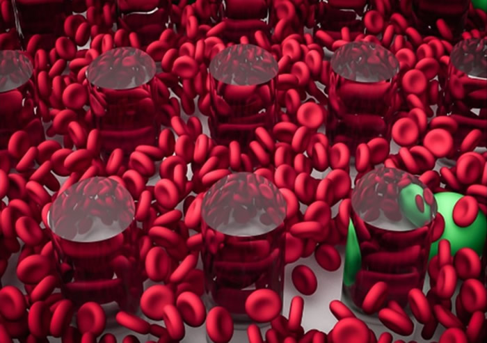 ʵ���ҳɹ�����������������Ѫ��ϸ����