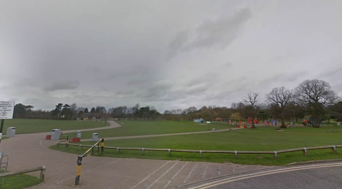 英国达拉谟郡湖畔公园大妈看白天鹅不爽 冲上前一把抓住长脖子当场掐死