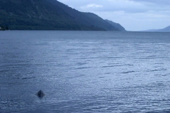 尼斯湖水怪是真的？新西兰奥塔哥大学研究团队：某种理论或成立