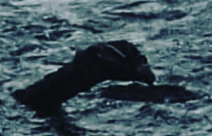 ��˹��ˮ������ģ��������������ѧ�о��Ŷӣ�ĳ�����ۻ����