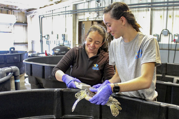 ��Լ��100ֻ��������ĺ����������¿���˹�ݱ���籩���Ϻ���