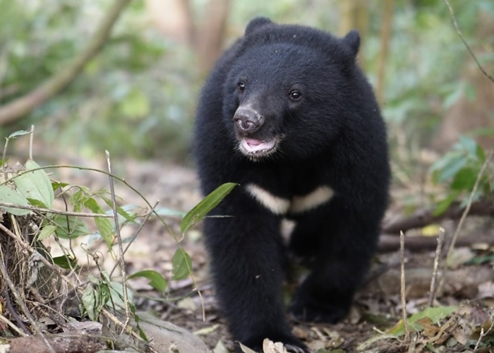 ߵ磨CNN̨ܱ ֻʣ²600ֻ