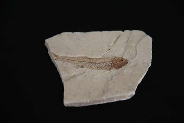 ѧʦ20ռǧ黯ʯ ұɲ