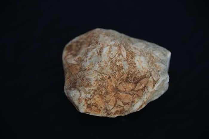 ѧʦ20ռǧ黯ʯ ұɲ