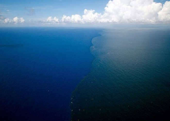 墨西哥湾无氧“死亡区”面积将达到22,500平方公里以上 海洋生物游不走只能等死