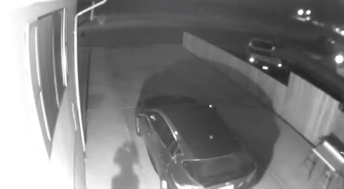 外星人深夜现身?美国科罗拉多州居民监控拍到神秘诡异不明生物