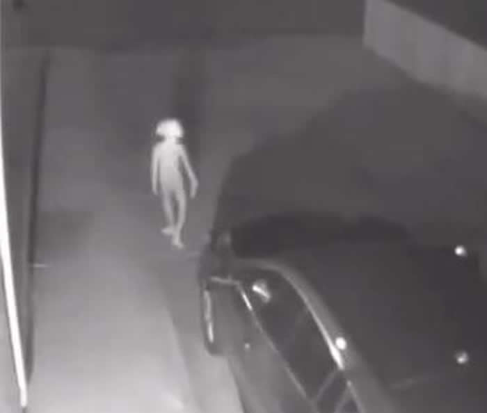 外星人深夜现身?美国科罗拉多州居民监控拍到神秘诡异不明生物