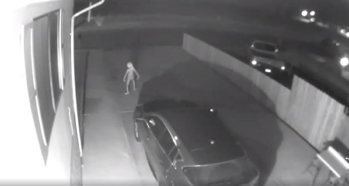 外星人深夜现身?美国科罗拉多州居民监控拍到神秘诡异不明生物