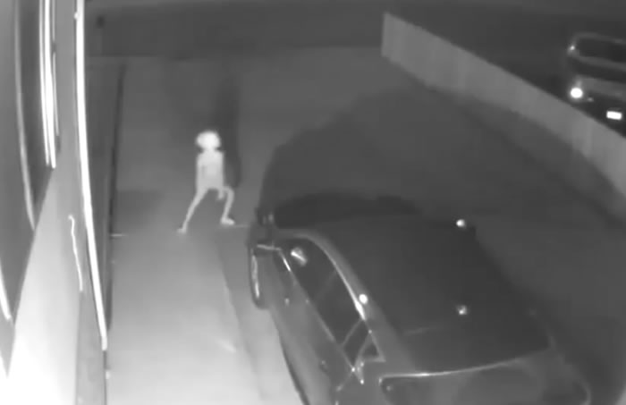 外星人深夜现身?美国科罗拉多州居民监控拍到神秘诡异不明生物