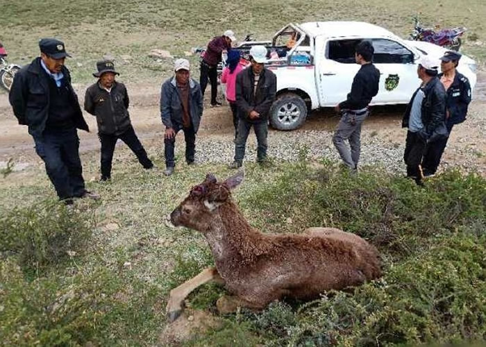 �״�¹��������ũ�����ˡ�